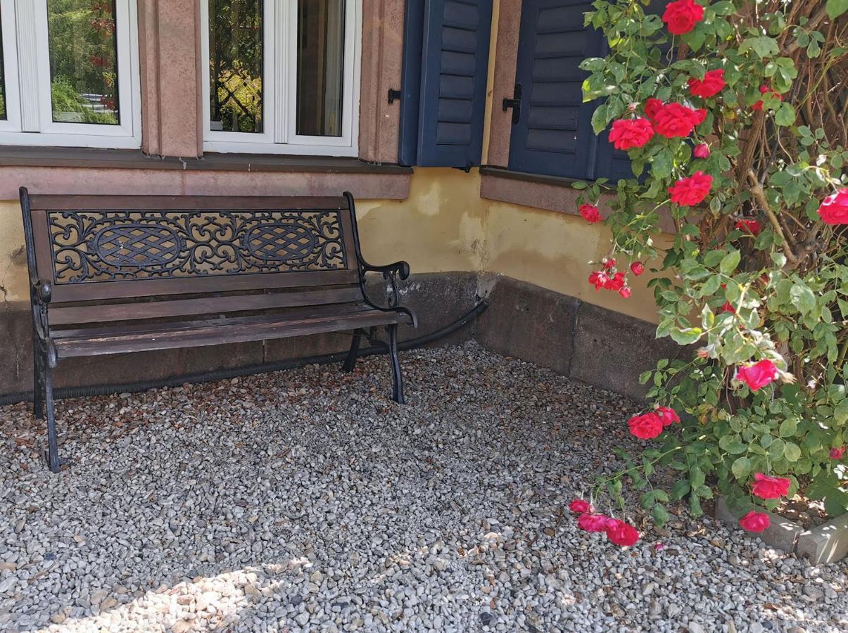 Apartment In Villa Rochlitz Exterior photo